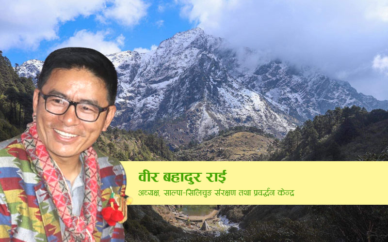 साल्पा सिलिचुङ सरोकार, संरक्षण प्रवर्द्धन केन्द्र संस्थागत प्रस्तावना नीति तथा कार्ययोजना